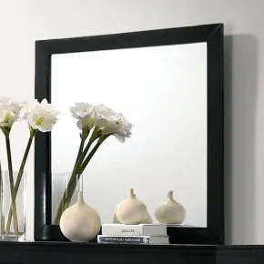 Furniture of America CM7966BK-M Louis Philippe - Mirror - Black - Wood
