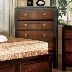 Furniture of America CM7152C Patra - Chest - Acacia / Walnut