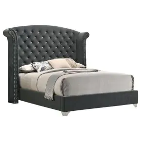 CoasterEveryday 223381Q Melody - Upholstered Queen Wingback Bed - Gray