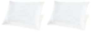 Ashley Sleep® M52110 Zephyr 2.0 - Cotton Pillow (Set of 2)(9/CS) - White