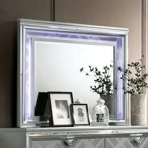Furniture of America FOA7147M Emmeline - Mirror With LED Lights - Silver
