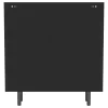Coaster Fine Furniture 950385 Dalia - 2 Door Accent Storage Cabinet With Shelving - Black