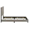 Coaster Fine Furniture 300851T Dorian - Fabric Upholstered Twin Panel Bed - Taupe