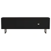 Coaster Fine Furniture 703003 Marsden - 2 Door Mango Wood TV Stand - Charcoal Black