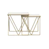 CoasterEssence 930075 Bette - 2 Piece Marble Top Nesting Table Set - White And Gold