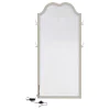 Coaster Fine Furniture 223400 Evangeline - Full Length LED Light Floor Mirror - Silver Oak