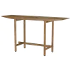 Coaster Fine Furniture 930128 Darius - Solid Wood Entryway Console Table - Mango