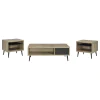 Coaster Fine Furniture 701038-S3 Welsh - 3 Piece Coffee And End Table Set - Distressed Pine