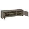 CoasterEssence 701025 Burke - 2 Door Engineered Wood TV Stand - Gray Driftwood