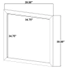 Coaster Fine Furniture 223444 Welsley - Dresser Mirror - Walnut