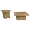 Coaster Fine Furniture 708068-S2 Devar - 2 Piece Square Coffee And End Table Set - Mango