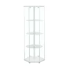 CoasterEveryday 950001 Zahavah - 4-Shelf Hexagonal Clear Glass Curio Cabinet - White