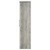 CoasterEssence 950783 Alejo - 2 Door Engineered Wood Tall Cabinet - Gray Driftwood