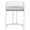 CoasterElevations 183405 Thermosolis - Clear Acrylic Counter Chair (Set of 2) - Chrome