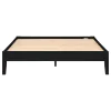 CoasterEveryday 306129Q Hounslow - Queen Universal Platform Bed - Black