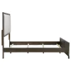 Coaster Fine Furniture 224930Q Gran Park - Queen Panel Bed - Dark Cocoa