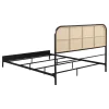 Coaster Fine Furniture 360351Q Amherst - Radio Weave Rattan Metal Queen Bed - Black