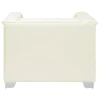 CoasterElevations 505393 Chaviano - Upholstered Track Arm Accent Chair - Pearl White