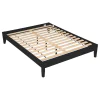 CoasterEveryday 306129Q Hounslow - Queen Universal Platform Bed - Black