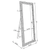 CoasterEveryday 961422 Mckay - Acrylic Frame Standing Mirror - Smokey Gray